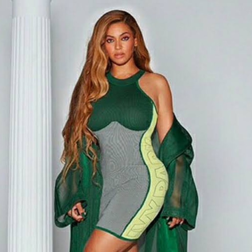 Ivy Park x Adidas knit logo dress. Size XS. NWT.